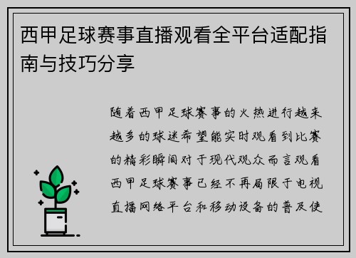西甲足球赛事直播观看全平台适配指南与技巧分享